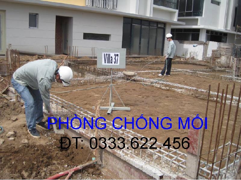 Dịch vụ phòng chống mối công trình xây dựng mới